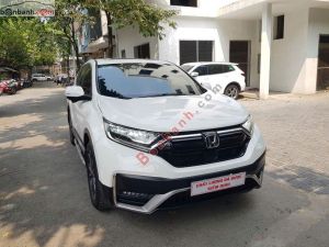 Xe Honda CRV L 2022