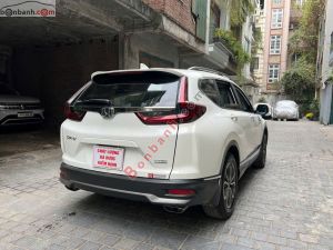 Xe Honda CRV L 2022