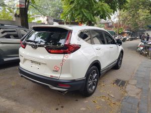 Xe Honda CRV G 2023