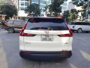 Xe Honda CRV L 2023