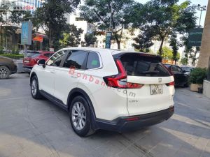 Xe Honda CRV L 2023