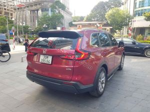 Xe Honda CRV L 2024